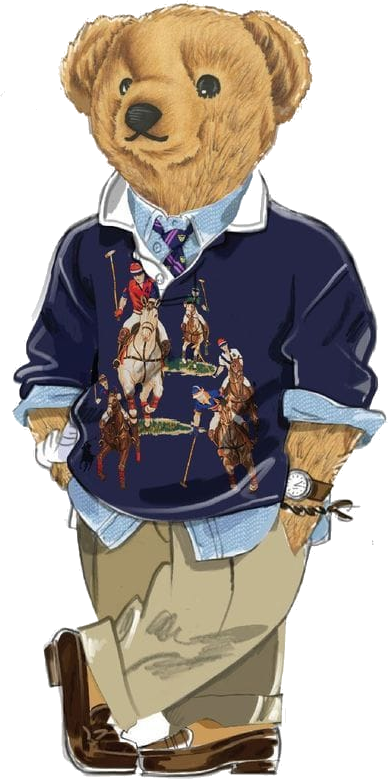 Polo Bear in a jumper, oxford shirt and chinos