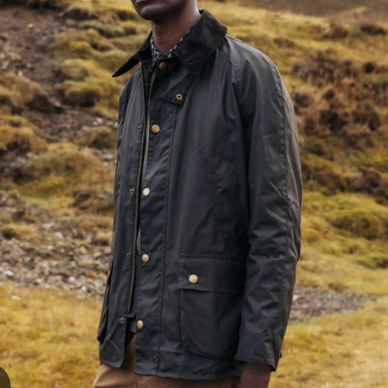 Barbour Ashby
